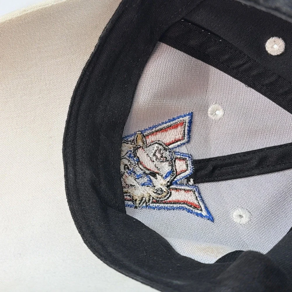 Washington Wild Things Hat Strap Back MiLB Minor League Logo Baseball Size Youth